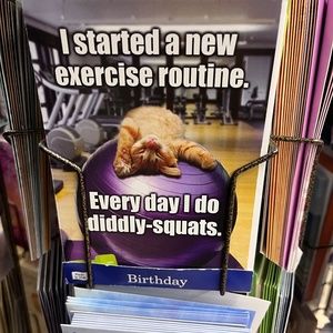 Meet your Posher, Betzy